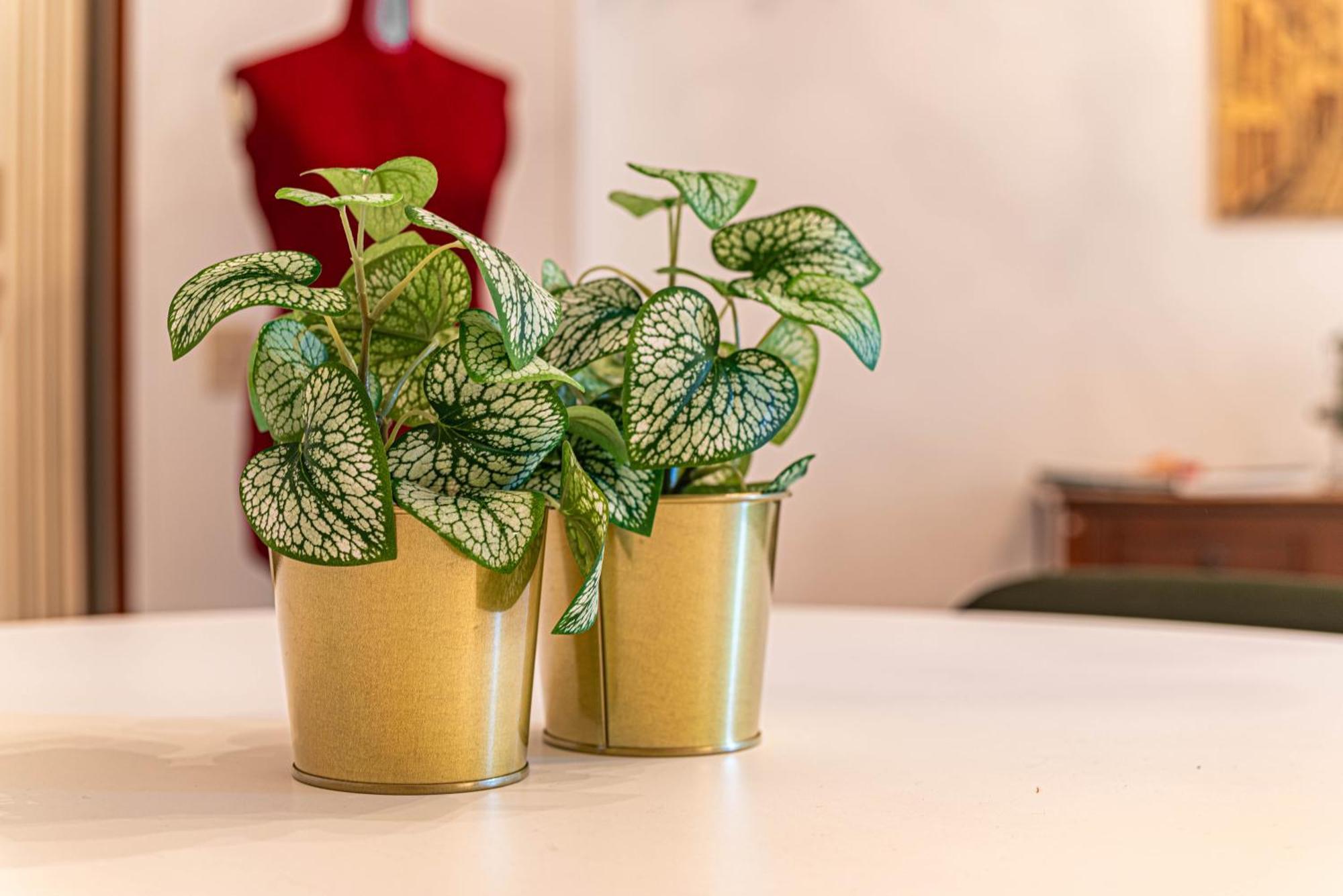 Vintage Flat Apartamento